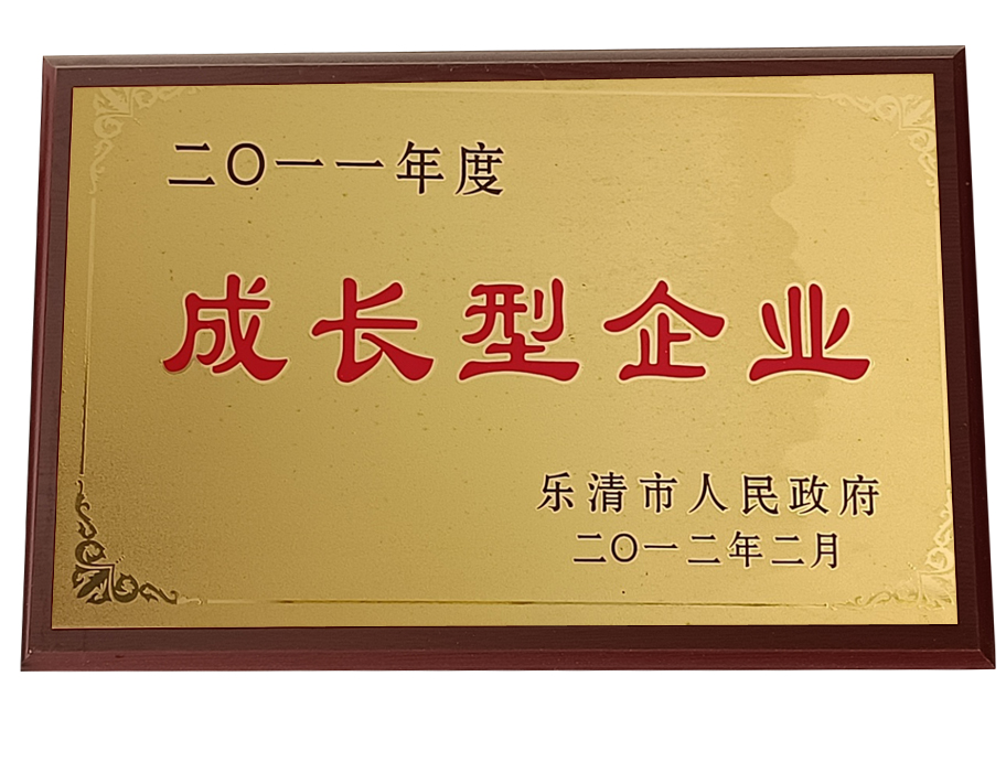 成長(zhǎng)型企業(yè)